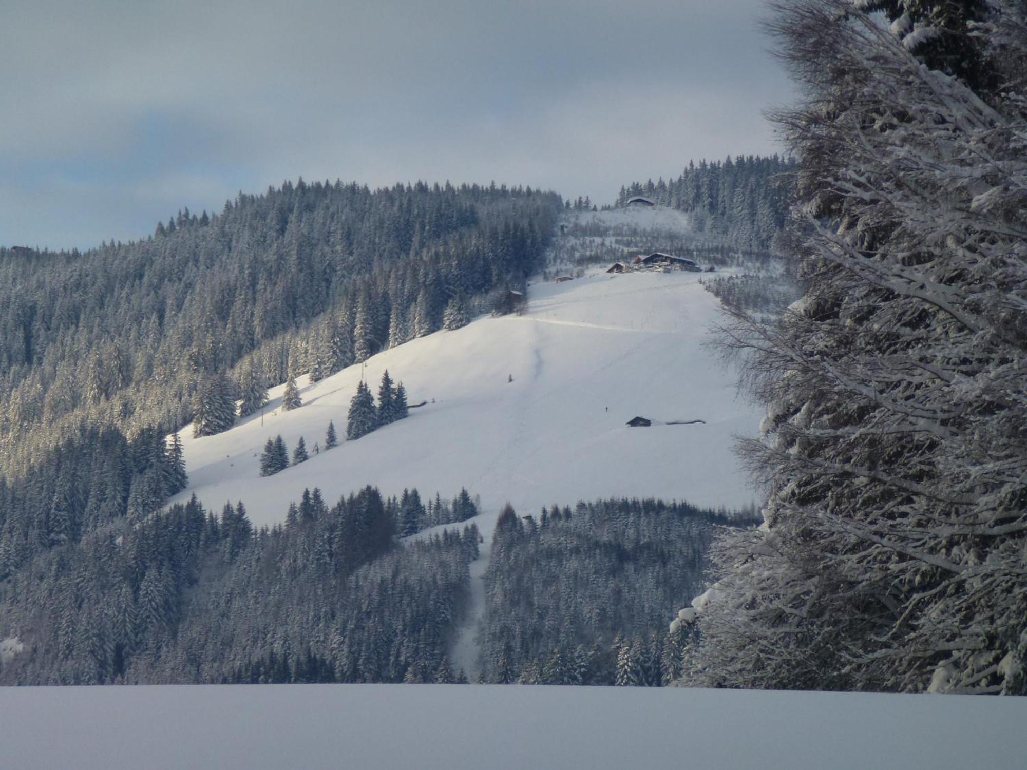 Wiesingbauer Saalfelden Exterior photo